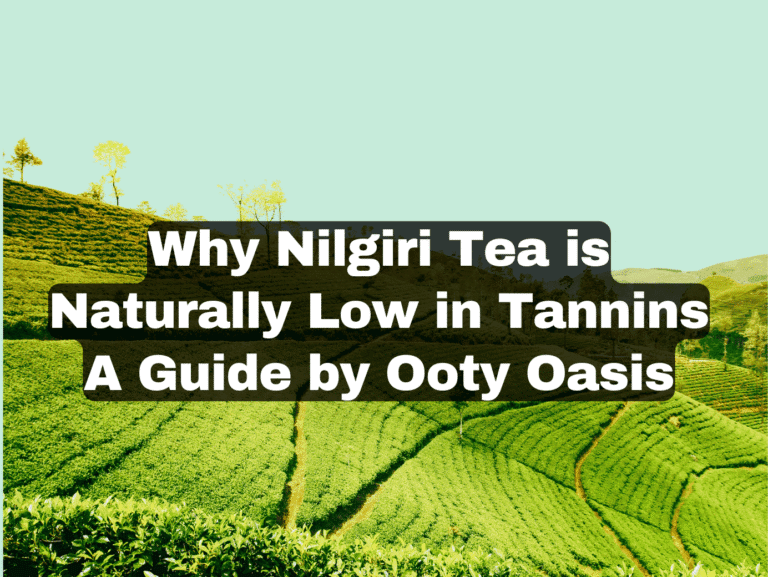 Why Nilgiri Tea is Naturally Low in Tannins | A Guide by Ooty Oasis
